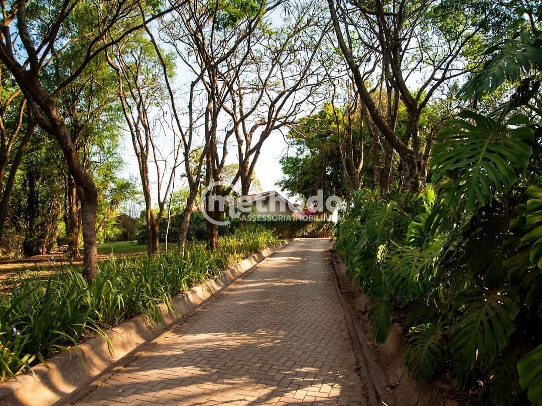 Sítio, 6 quartos, 5 hectares - Foto 24