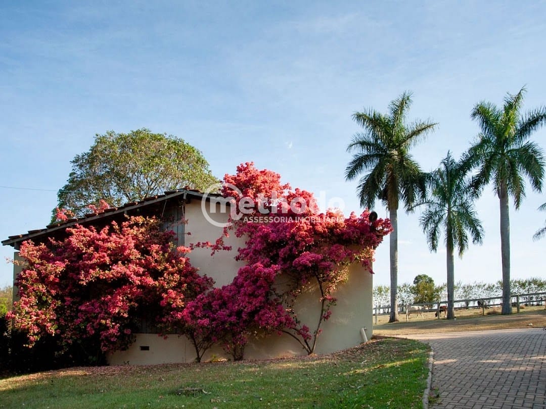 Sítio, 6 quartos, 5 hectares - Foto 31