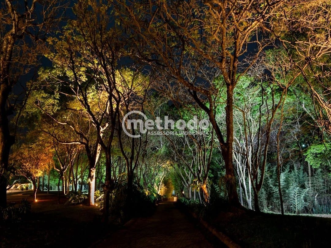 Sítio, 6 quartos, 5 hectares - Foto 14