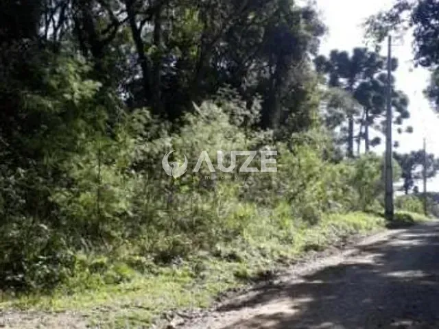 Sítio com 12m², à venda, no bairro Granjas Eldorado em Piraquara