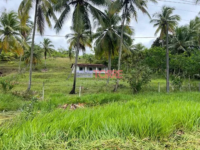Terreno com 40000m² 2 quartos e 1 banheiro, à venda, no bairro Jardim Atlântico em Ilhéus