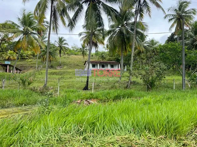 Terreno com 40000m² 2 quartos e 1 banheiro, à venda, no bairro Jardim Atlântico em Ilhéus