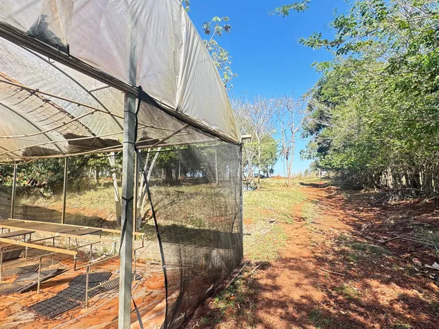 Sítio com 84240m² 2 quartos e 1 banheiro, à venda, no bairro Enxovia em Tatuí