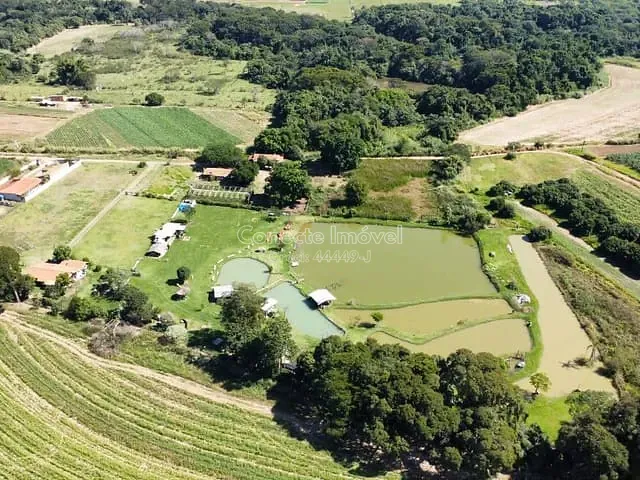 Sítio com 24200m² 3 quartos e 2 banheiros, à venda, no bairro Camanducaia em Jaguariúna