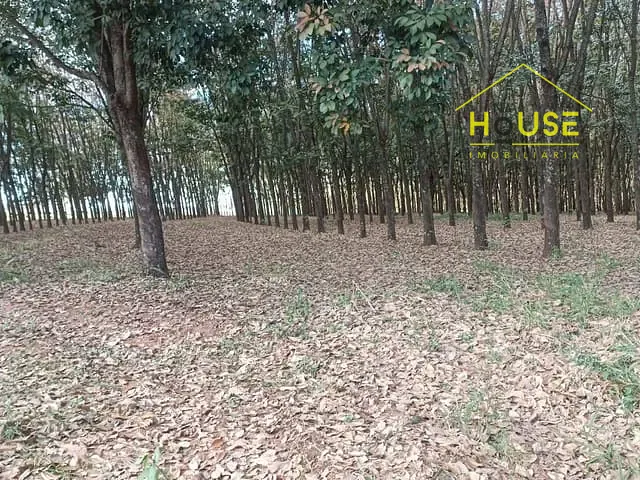 Sítio com 12m² 1 quarto e 1 banheiro, à venda, no bairro Simonsen em Votuporanga