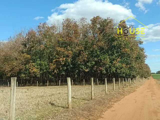 Sítio com 12m² 1 quarto e 1 banheiro, à venda, no bairro Simonsen em Votuporanga