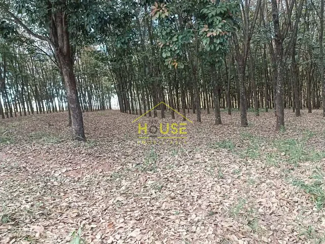 Sítio com 12m² 1 quarto e 1 banheiro, à venda, no bairro Simonsen em Votuporanga