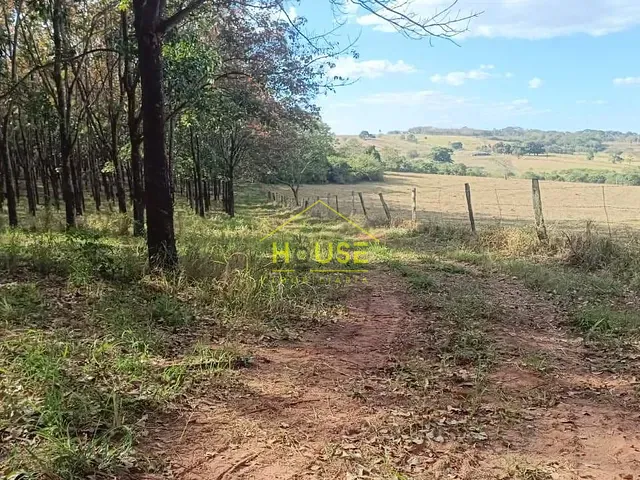 Sítio com 12m² 1 quarto e 1 banheiro, à venda, no bairro Simonsen em Votuporanga