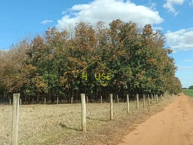 Sítio com 12m² 1 quarto e 1 banheiro, à venda, no bairro Simonsen em Votuporanga