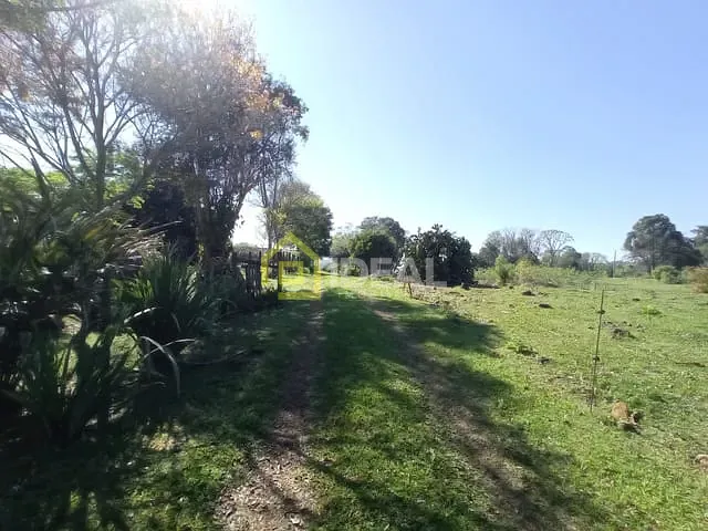 Sítio 3 quartos e 1 banheiro, à venda, no bairro Fragosos em Concórdia