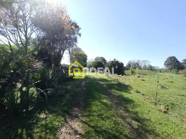 Sítio 3 quartos e 1 banheiro, à venda, no bairro Fragosos em Concórdia