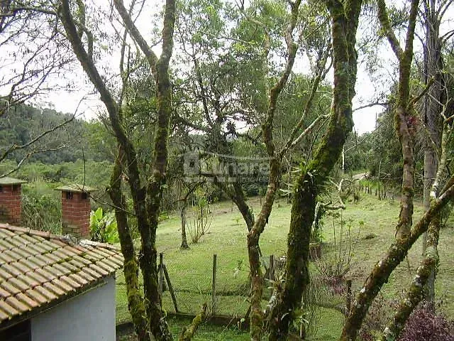 Sítio com 50000m² 4 quartos e 3 banheiros, à venda, no bairro Vila Moraes em Mogi das Cruzes