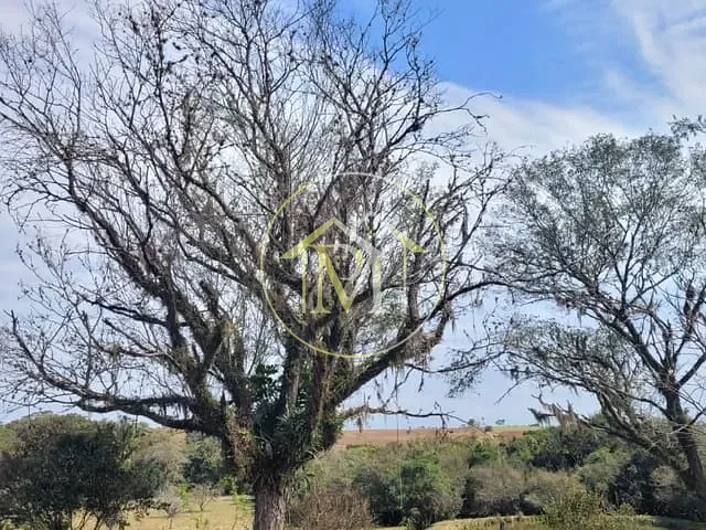 Sítio com 48400m² 5 quartos e 2 banheiros, à venda, no bairro Fazenda em Guareí