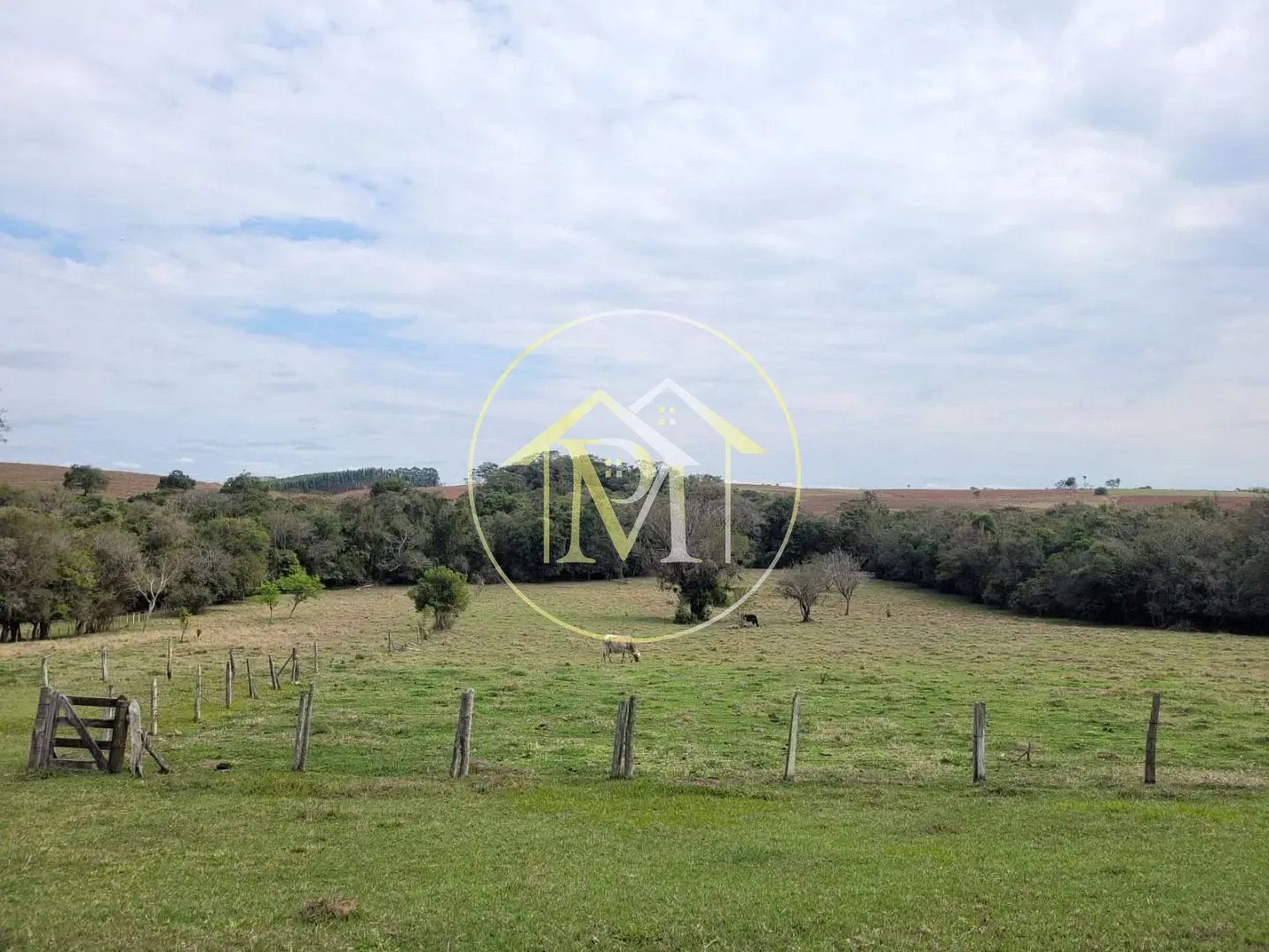 Chácara, 5 quartos, 5 hectares - Foto 7