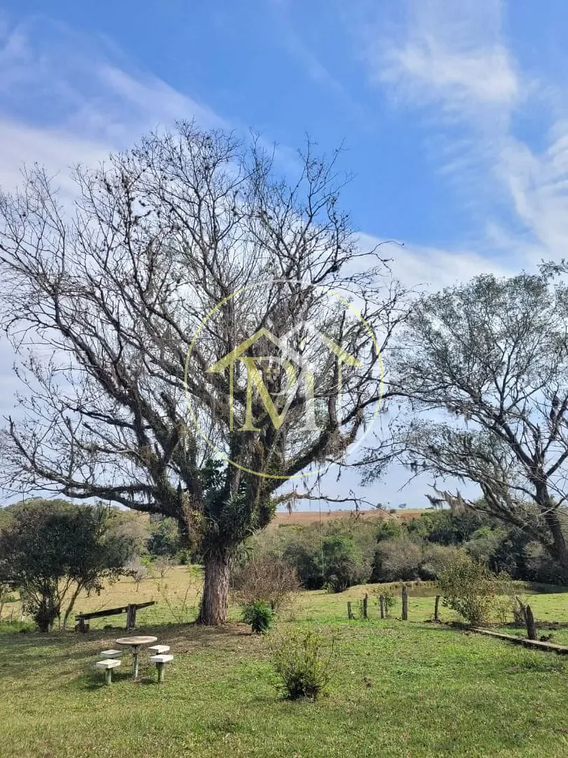 Chácara, 5 quartos, 5 hectares - Foto 3
