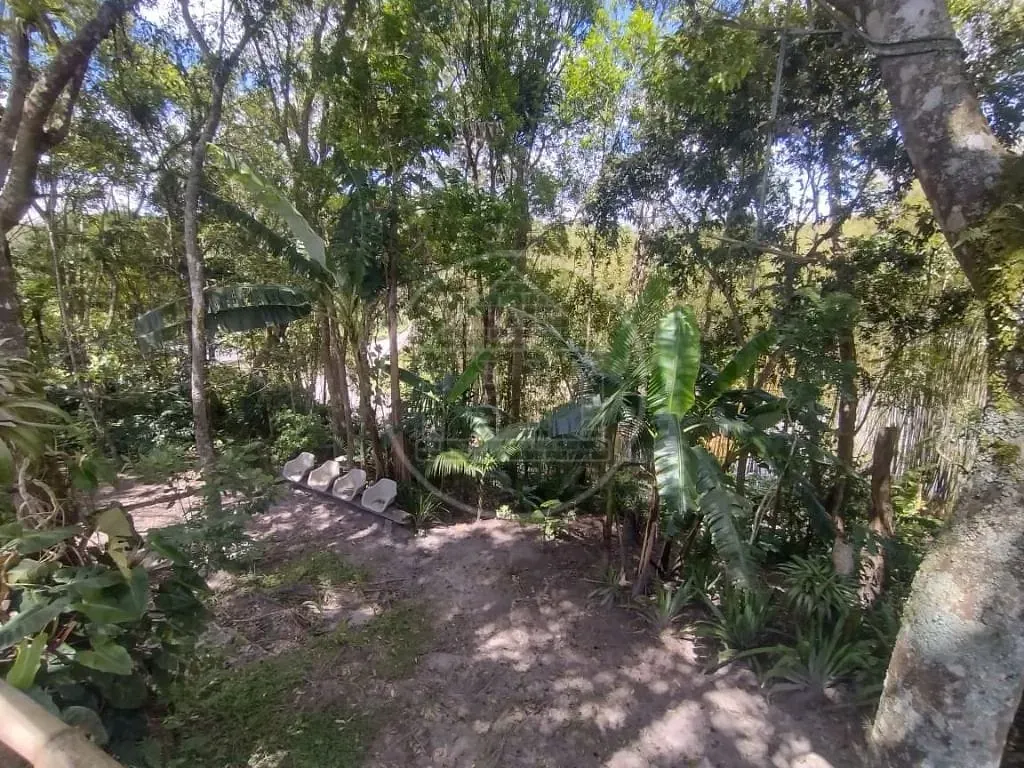 Fazenda, 3193 m² - Foto 24