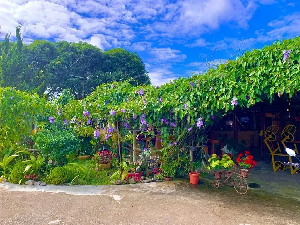 Fazenda, 3193 m² - Foto 11