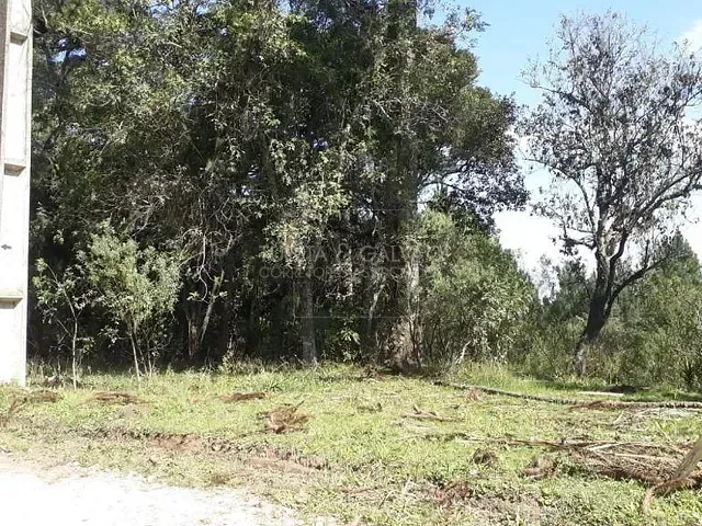 Sítio com 12m², à venda, no bairro Granjas Eldorado em Piraquara