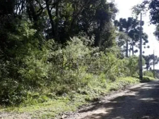 Sítio com 12m², à venda, no bairro Granjas Eldorado em Piraquara