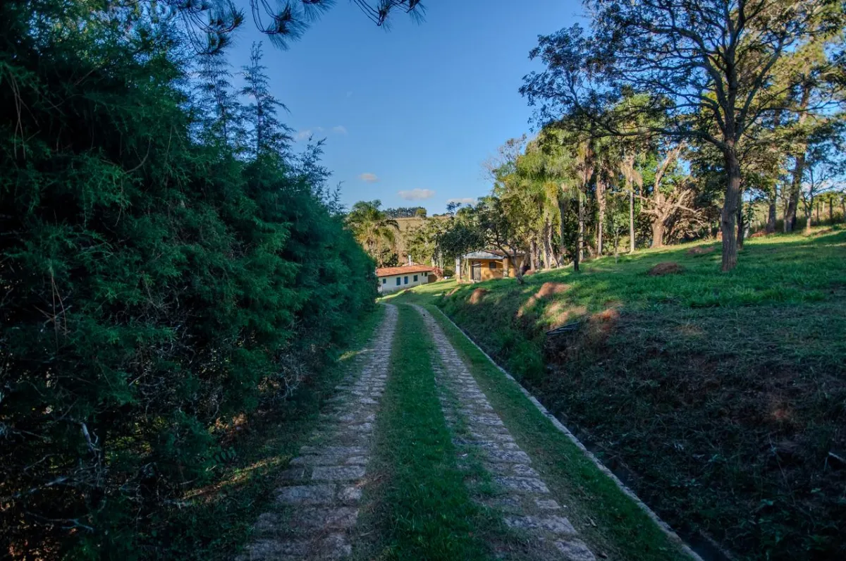 Casa rural para venda em Bairro Pedras de Ouro, 8,000m²