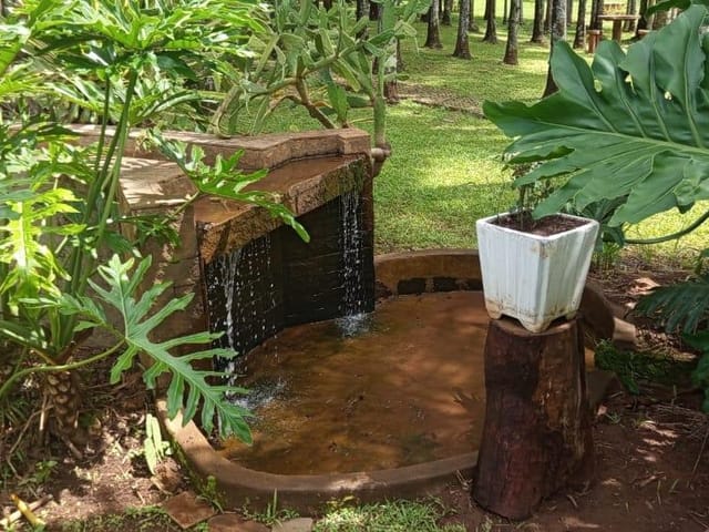 Foto do Sítio - 3 alqueires a venda no município de Varjão- GO | Provenda Imobiliária