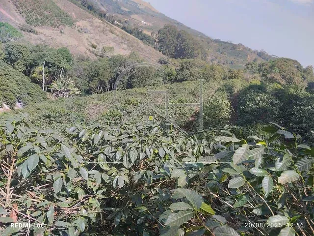 Sítio com 242300m² 2 quartos e 2 banheiros, à venda, no bairro Zona Rural em Nova Resende