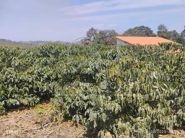 Sítio com 242300m² 2 quartos e 2 banheiros, à venda, no bairro Zona Rural em Nova Resende