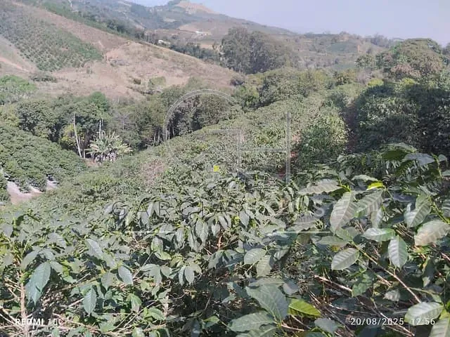 Sítio com 242300m² 2 quartos e 2 banheiros, à venda, no bairro Zona Rural em Nova Resende