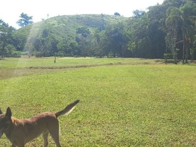 Foto do Sítio - Sítio com 6 dormitórios à venda, 100000 m² por R$ 1.600.000,00 - Costinha - São José dos Campos/SP | INDEPENDENCE NEGOCIOS IMOBILIARIOS LTDA