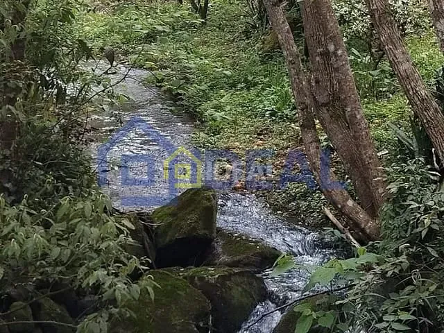 Sítio com 7464m² 3 quartos e 2 banheiros, à venda, no bairro Fragosos em Concórdia