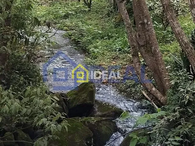 Sítio com 7464m² 3 quartos e 2 banheiros, à venda, no bairro Fragosos em Concórdia