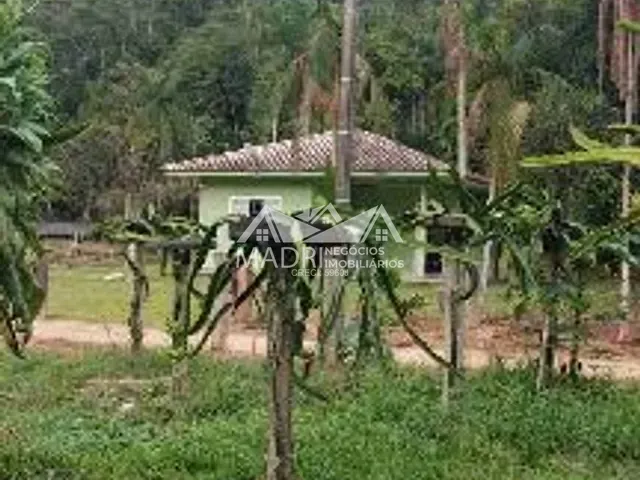Sítio com 80000m² 2 quartos e 1 banheiro, à venda, no bairro Garcia  em Angelina
