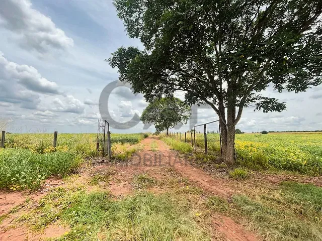 Sítio com 108900m² 3 quartos e 3 banheiros, à venda, no bairro Área Rural em Mogi Mirim