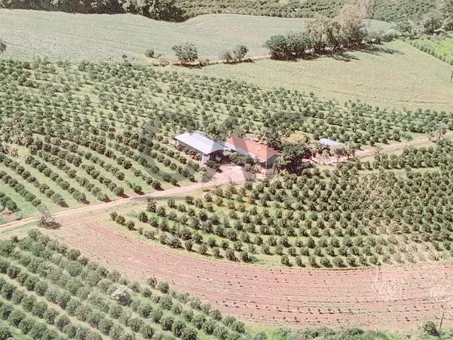 Sítio com 108900m² 3 quartos e 3 banheiros, à venda, no bairro Área Rural em Mogi Mirim