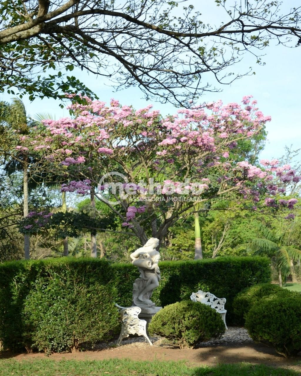 Sítio, 9 quartos, 500 m² - Foto 52