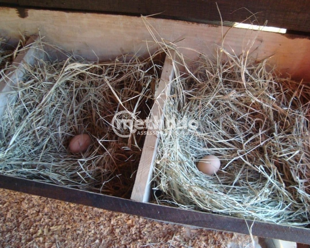 Sítio, 9 quartos, 500 m² - Foto 94