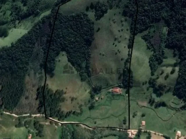 Sítio com 206000m², à venda, no bairro Zona Rural em Pouso Alegre