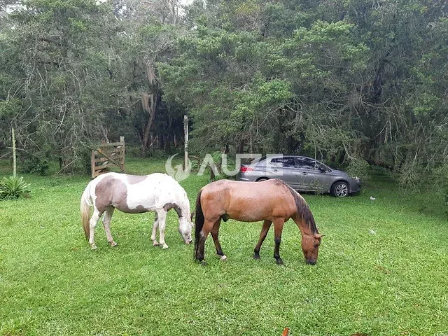 Sítio à venda, no bairro Estação em Araucária