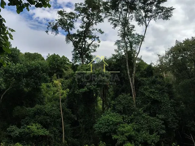 Sítio com 82000m², à venda, no bairro MG 455 em Ibitiúra de Minas