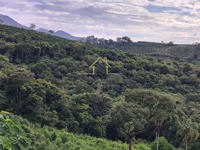 Sítio com 82000m², à venda, no bairro MG 455 em Ibitiúra de Minas
