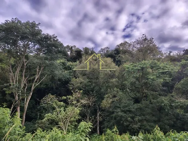 Sítio com 82000m², à venda, no bairro MG 455 em Ibitiúra de Minas