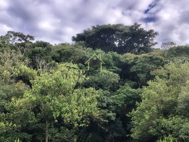 Sítio com 82000m², à venda, no bairro MG 455 em Ibitiúra de Minas