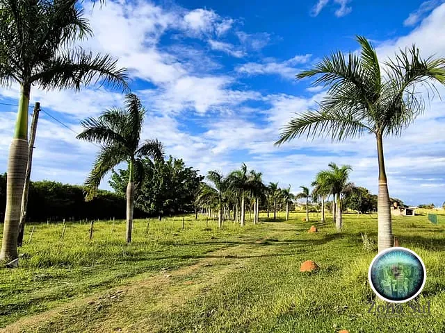 Sítio com 78000m² 5 quartos e 7 banheiros, à venda, no bairro Capoavinha em Salto de Pirapora