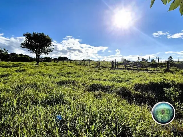 Sítio com 78000m² 5 quartos e 7 banheiros, à venda, no bairro Capoavinha em Salto de Pirapora