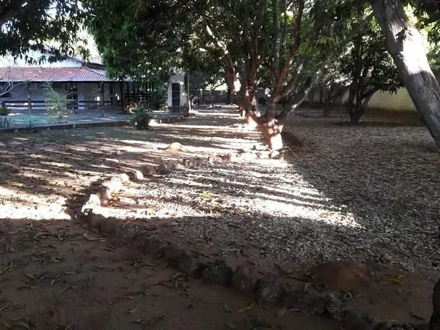 Sítio com 5300m² 4 quartos e 1 banheiro, à venda, no bairro Usina Santana em Teresina