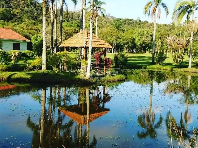 Sítio com 24000m² 3 quartos e 3 banheiros, à venda, no bairro Quatinga em Mogi das Cruzes