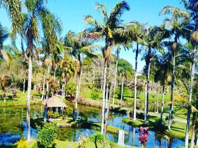 Sítio com 24000m² 3 quartos e 3 banheiros, à venda, no bairro Quatinga em Mogi das Cruzes