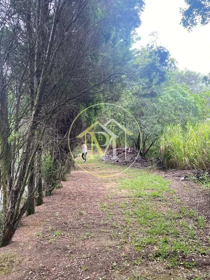 Sítio, 4 quartos, 3 hectares - Foto 16