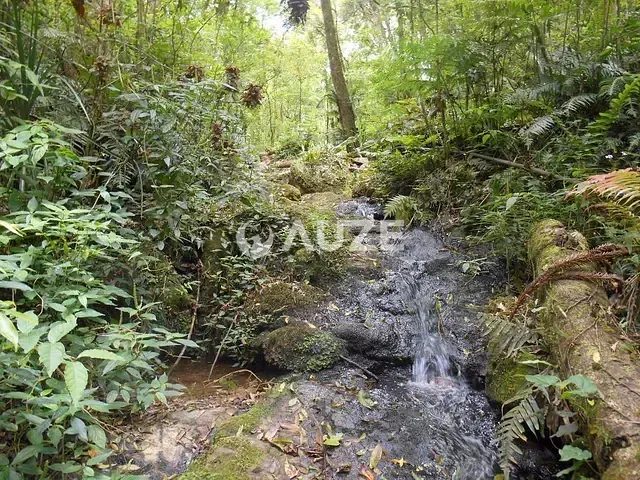 Sítio com 200m² 3 quartos e 2 banheiros, à venda, no bairro Areia Branca dos Assis em Mandirituba