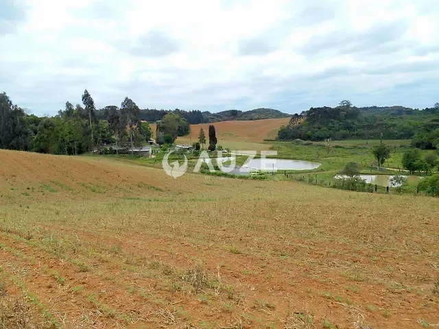 Sítio com 200m² 3 quartos e 2 banheiros, à venda, no bairro Areia Branca dos Assis em Mandirituba